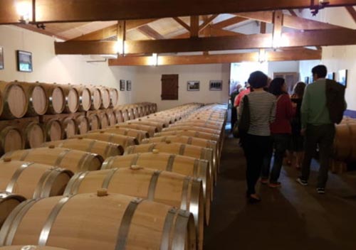 Visits and Tasting