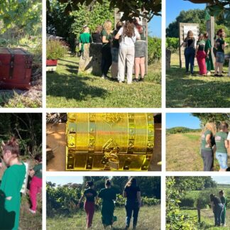 Chasse au Trésor dans le vignoble