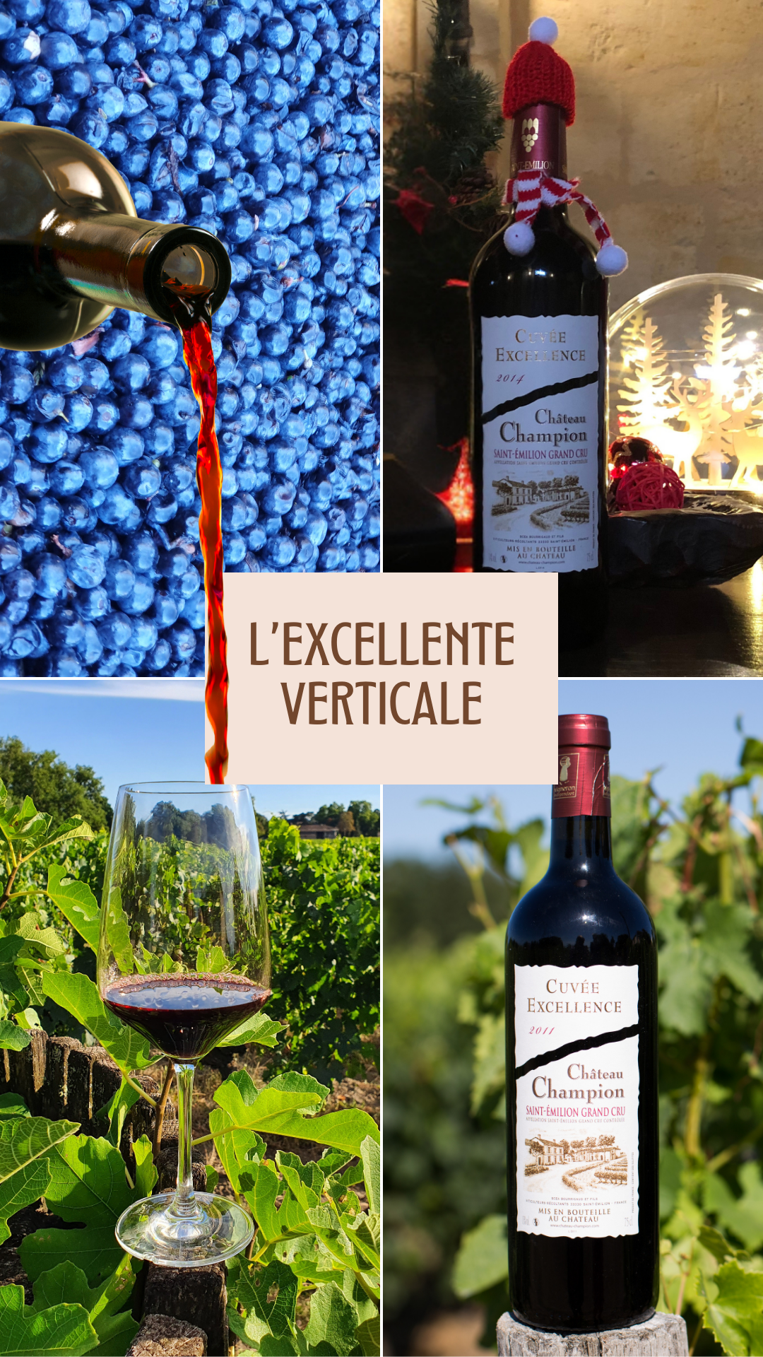 Story Instagram Vignobles rouge bordeaux collage découpage avec photo