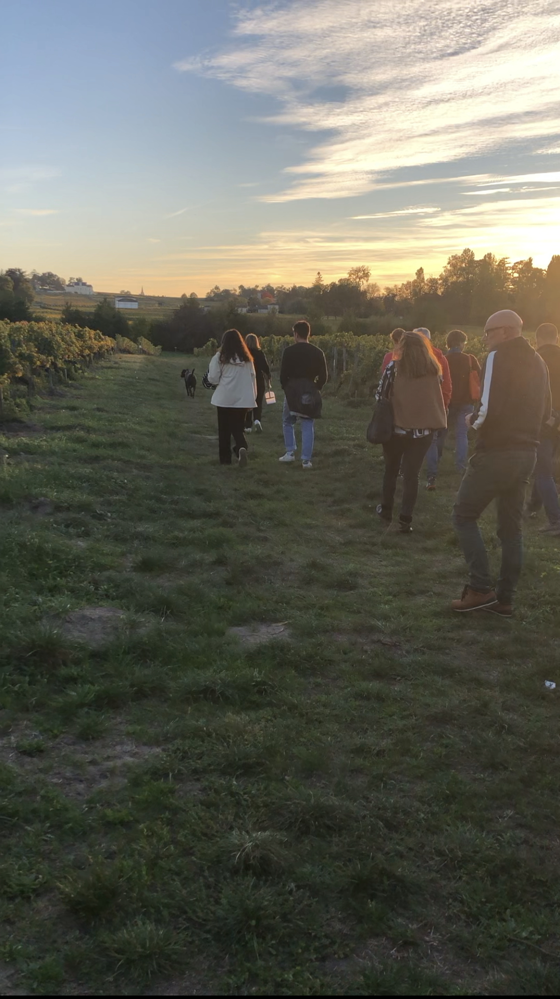 Balade Sensorielle et Gourmande à la lueur des lanternes